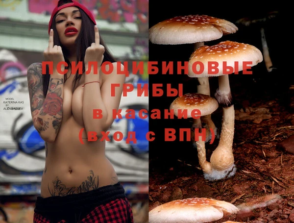 каннабис Арсеньев