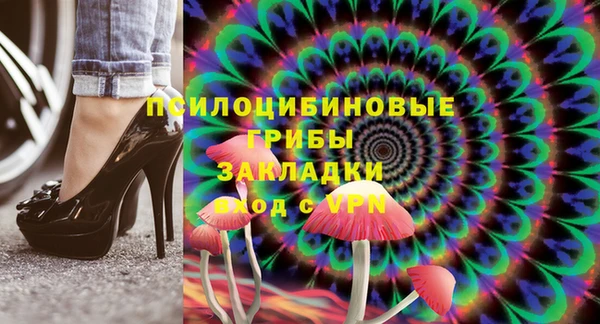 ГАЛЛЮЦИНОГЕННЫЕ ГРИБЫ Аркадак