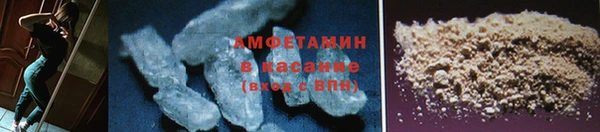 ГАЛЛЮЦИНОГЕННЫЕ ГРИБЫ Аркадак