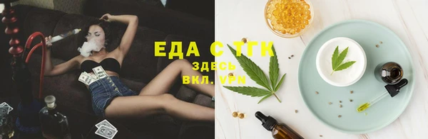 ГАЛЛЮЦИНОГЕННЫЕ ГРИБЫ Аркадак