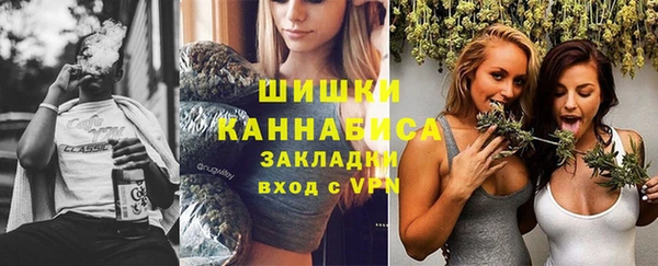 ГАЛЛЮЦИНОГЕННЫЕ ГРИБЫ Аркадак