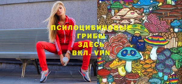 ГАЛЛЮЦИНОГЕННЫЕ ГРИБЫ Аркадак